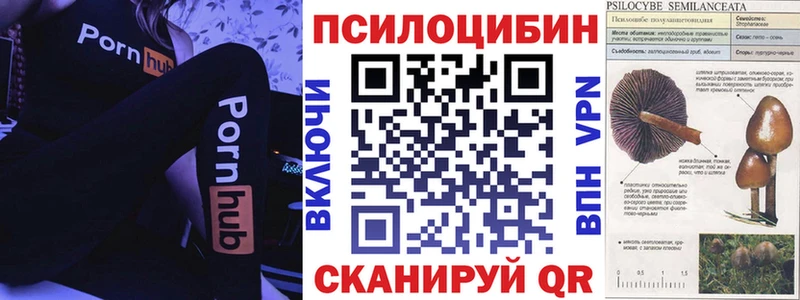 Псилоцибиновые грибы Magic Shrooms Серпухов
